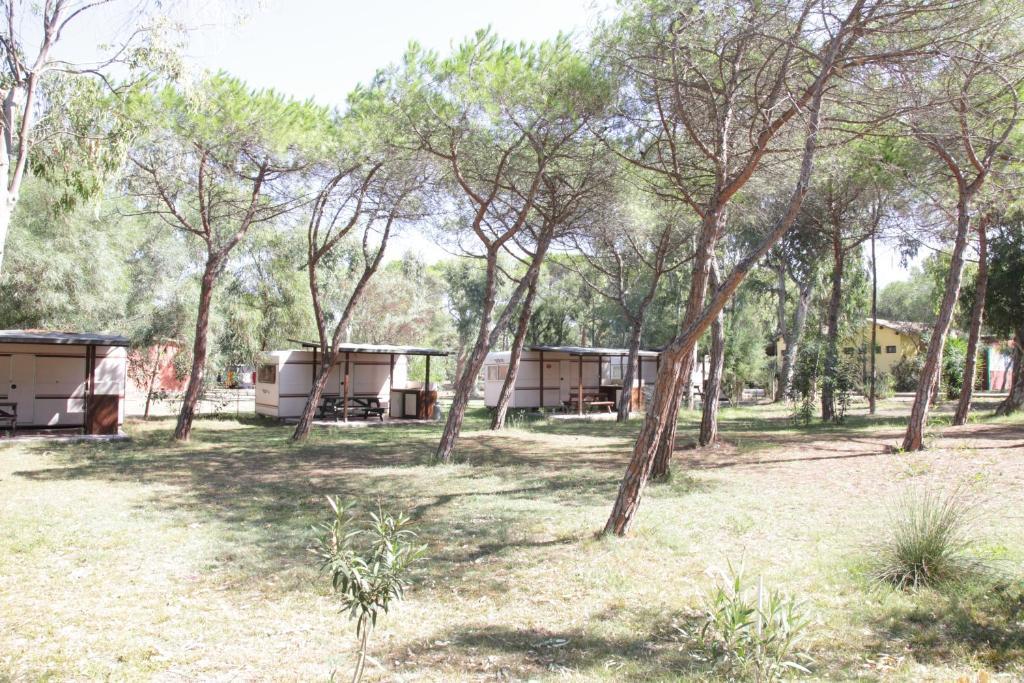 Camping Golfo Dell'Asinara Platamona Habitación foto